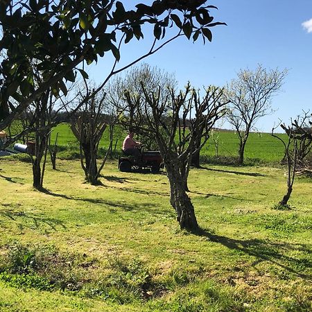 Les Geais Acomodação com café da manhã Saint-Pierre-la-Noue Exterior foto