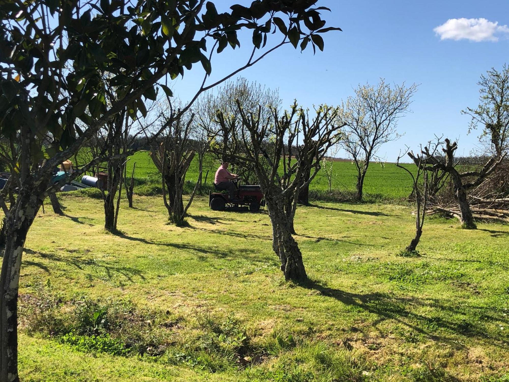 Les Geais Acomodação com café da manhã Saint-Pierre-la-Noue Exterior foto